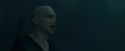 CdF-Potterish_8020.jpg