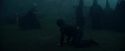 CdF-Potterish_8065.jpg