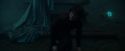 CdF-Potterish_8073.jpg
