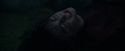CdF-Potterish_8096.jpg