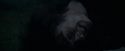 CdF-Potterish_8097.jpg