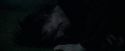 CdF-Potterish_8100.jpg