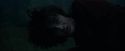 CdF-Potterish_8104.jpg