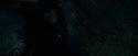CdF-Potterish_8148.jpg