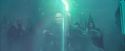 CdF-Potterish_8189.jpg