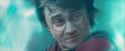 CdF-Potterish_8241.jpg
