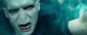 CdF-Potterish_8247.jpg