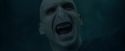 CdF-Potterish_8277.jpg
