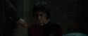 CdF-Potterish_8428.jpg