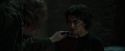 CdF-Potterish_8431.jpg