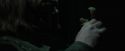 CdF-Potterish_8481.jpg