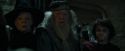 CdF-Potterish_8718.jpg