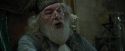 CdF-Potterish_8778.jpg
