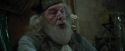 CdF-Potterish_8780.jpg