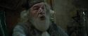 CdF-Potterish_8781.jpg