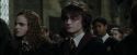 CdF-Potterish_8828.jpg