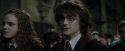 CdF-Potterish_8834.jpg