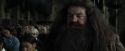 CdF-Potterish_8846.jpg