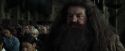 CdF-Potterish_8847.jpg