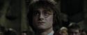 CdF-Potterish_8856.jpg