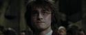 CdF-Potterish_8858.jpg