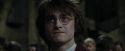 CdF-Potterish_8859.jpg