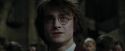 CdF-Potterish_8860.jpg