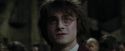CdF-Potterish_8863.jpg