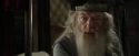CdF-Potterish_8941.jpg