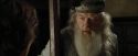 CdF-Potterish_8946.jpg