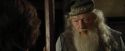 CdF-Potterish_8963.jpg
