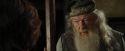 CdF-Potterish_8964.jpg
