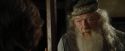 CdF-Potterish_8966.jpg