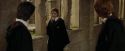 CdF-Potterish_9081.jpg