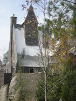 DISNEY_351.jpg