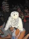 DSC01991.JPG