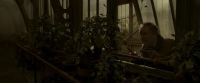 EdP-Potterish10002.jpg