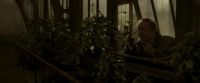 EdP-Potterish10006.jpg