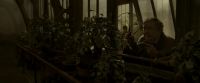 EdP-Potterish10007.jpg