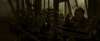 EdP-Potterish10008.jpg