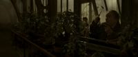 EdP-Potterish10010.jpg