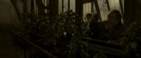 EdP-Potterish10011.jpg