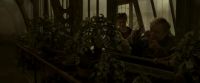 EdP-Potterish10012.jpg