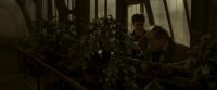 EdP-Potterish10017.jpg