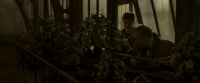 EdP-Potterish10018.jpg