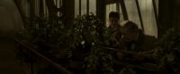 EdP-Potterish10020.jpg