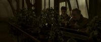 EdP-Potterish10026.jpg