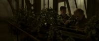 EdP-Potterish10028.jpg
