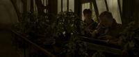 EdP-Potterish10029.jpg