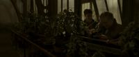 EdP-Potterish10031.jpg